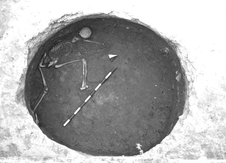 'Lady in the well' sheds light on ancient human population movements